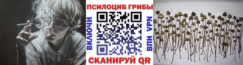 Псилоцибиновые грибы Magic Shrooms  ОМГ ОМГ tor  Ардатов 